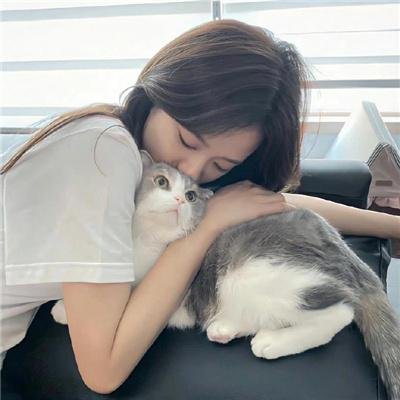阿拉卡达的命运